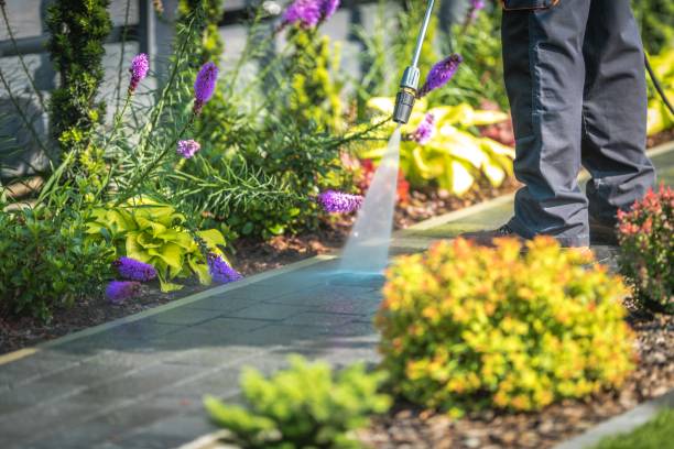 Best Brick and Stone Cleaning in Palisade, CO
