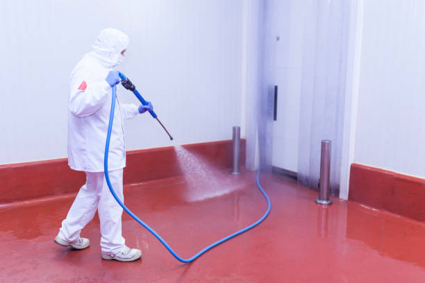 Best Sidewalk and Walkway Pressure Cleaning in Palisade, CO